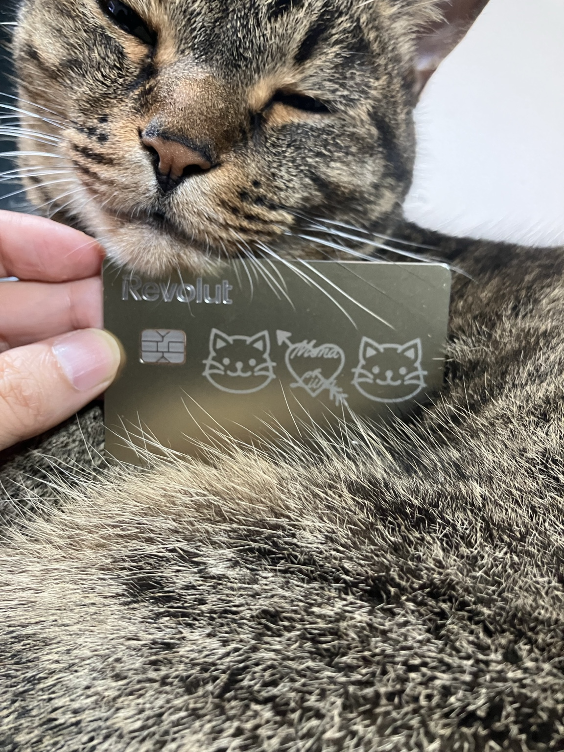USKが使っているモナとルナのデザイン入りRevolut Metalカード